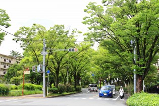 香里団地は1957年に日本住宅公団によって計画された住宅団地。街開き当初は「東洋一のニュータウン」と称されていました。