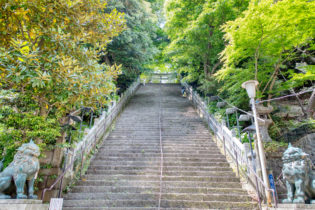 自然に形成された山である愛宕山山頂にある、愛宕神社。愛宕山は、東京都区部の天然の山としては一番の高さを誇ります。大鳥居の正面にある男坂は「出世の石段」と呼ばれ、傾斜約40度の階段が続きます。脇には勾配が緩やかな女坂もあります。