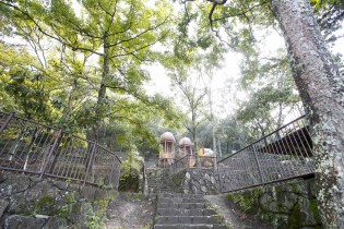 額田山と枚岡山の間に位置する枚岡公園は、季節を問わず自然を満喫できます。散策路も整備され、気軽にハイキングを楽しめます。
