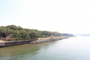 京浜運河沿いに広がる大井ふ頭中央海浜公園は、釣りやバーベキューなども楽しむことができ、城南地区を中心に多くの人が訪れます。
