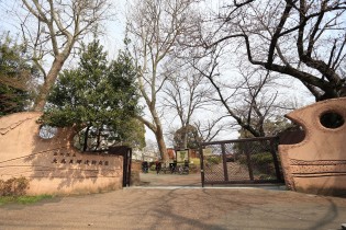 大森貝塚遺跡庭園は1877年にモース博士によって発掘された大森貝塚遺跡を整備した庭園で、今は周辺住民の憩いの場となっています。