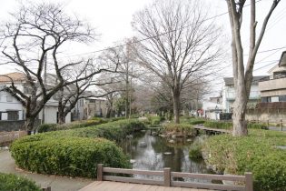 根川緑道は立川市南部の小川に沿って整備された遊歩道です。近くには旧道や川渡しの跡、湧水が育んだ緑地など、貴重な史跡や自然が多く残されています。