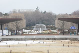 国営昭和記念公園は1983年に開園した立川市民の憩いの場です。165.3ヘクタールもの広大な敷地内では、四季折々の植物を楽しむことができます。