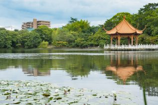 緑ヶ丘公園は1963年に開設された伊丹市内で最も古い公園です。下池のほとりには日本建築の粋を集めた鴻臚館や中国佛山市から贈られた賞月亭があります。