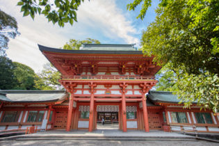 氷川神社は、「大いなる宮居」として大宮の地名の由来にもなった神社。2400年以上の歴史をもつ日本屈指の古社で、武蔵一宮として関東一円の信仰を集め、初詣には多くの参拝者が訪れます。氷川神社名の社は、大宮を中心に埼玉・東京・神奈川におよび、その数は280数社を数えます。